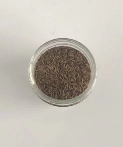 NU Grocery Caraway Seeds - Organic