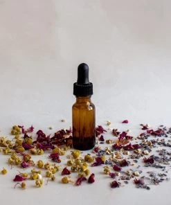 NU Grocery Eucalyptus Essential Oil - Organic