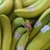 NU Grocery Groceries (Ottawa-Gatineau Only) Banana