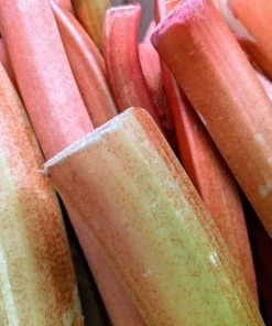 NU Grocery NEW! Local Rhubarb Groceries (Ottawa-Gatineau Only)