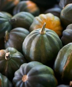 NU Grocery Acorn Squash
