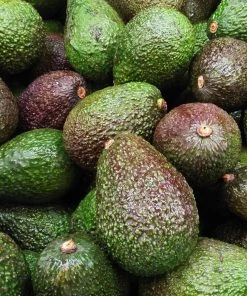 NU Grocery Groceries (Ottawa-Gatineau Only) Avocado Trio