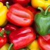 NU Grocery Bell Pepper Groceries (Ottawa-Gatineau Only)