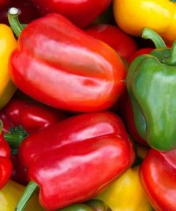NU Grocery Bell Pepper Groceries (Ottawa-Gatineau Only)
