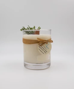 Artsy Soap Co Local Goodness Soy & Coconut Wax Candle