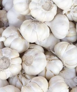 NU Grocery Garlic Head