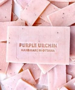 Purple Urchin Grapefruit Grenade Soap Local Goodness