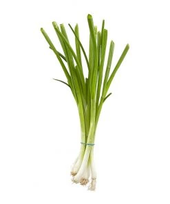 NU Grocery Green Onions