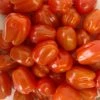 Suntech Greenhouses Local Grape Tomatoes