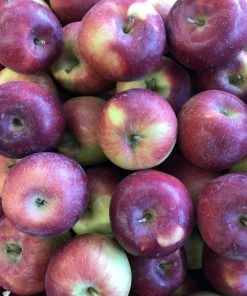 Hall's Orchard Local Empire Apples Groceries (Ottawa-Gatineau Only)