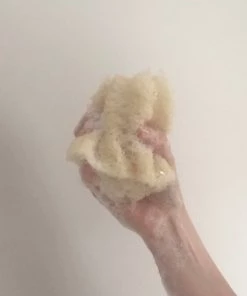 Éco&Éco Cleaning Luffa Sponge
