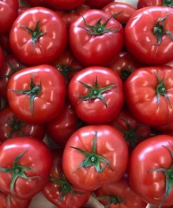Suntech Greenhouses Groceries (Ottawa-Gatineau Only) Local Baby Beefsteak Tomatoes