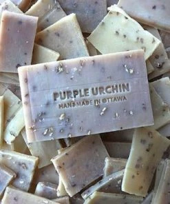 Purple Urchin Cologne Soap