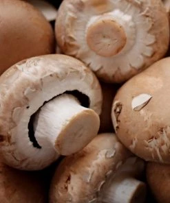 NU Grocery Cremini Mushrooms Groceries (Ottawa-Gatineau Only)