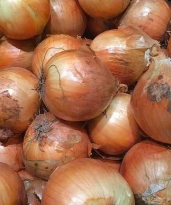 NU Grocery Spanish Onion