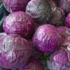 NU Grocery Groceries (Ottawa-Gatineau Only) Red Cabbage
