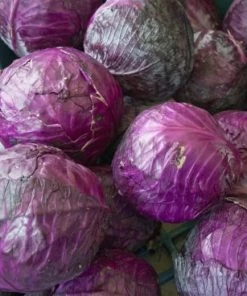 NU Grocery Groceries (Ottawa-Gatineau Only) Red Cabbage