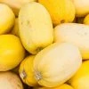 Jardins Kowalik Spaghetti Squash