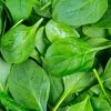 NU Grocery Groceries (Ottawa-Gatineau Only) Spinach